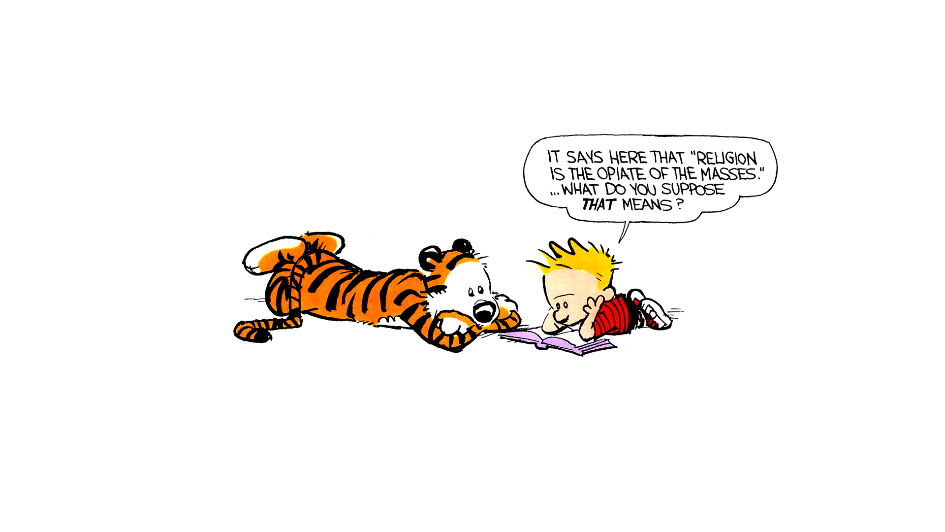 Calvin and Hobbes - WHY